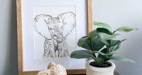 Ellie Downer's Grove Decor