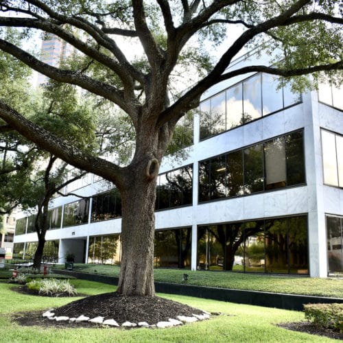 Texas Houston Tanglewood Therapy Clinic