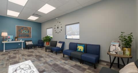 Ellie Mental Health Monument, CO Clinic