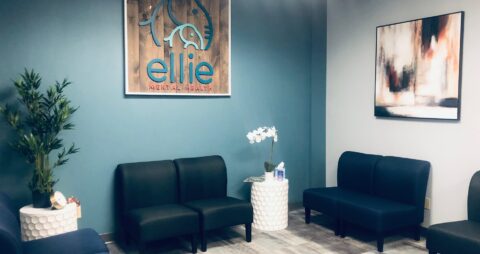 An interior photo of an Ellie Mental Health Therapy Clinic lobby with several dark blue chairs, small white tables, plants, and the Ellie Mental Health logo and an abstract painting hanging on the walls
