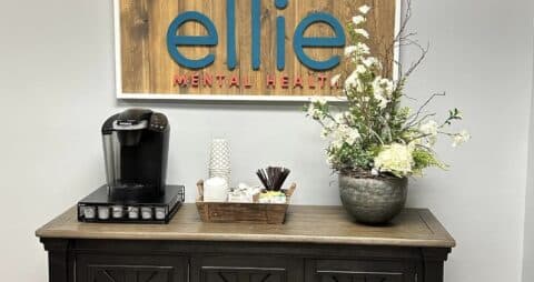 Ellie Mental Health Ridgeland, MS Clinic