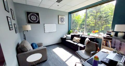An interior photo of an Ellie Mental Health Therapy Clinic office with large windows, a dark couch facing a single grey chair, and various art painting on the walls.