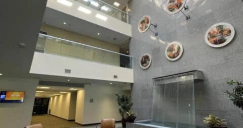 Ellie Mental Health Parsippany, NJ Clinic