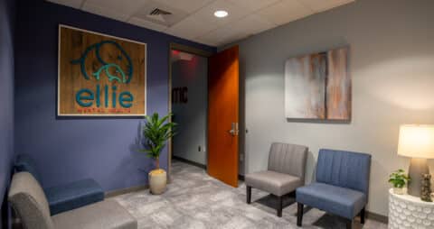Ellie Mental Health Glen Allen, VA Clinic Lobby