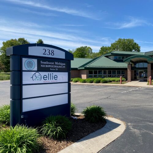 Michigan Holland-Hoover Therapy Clinic