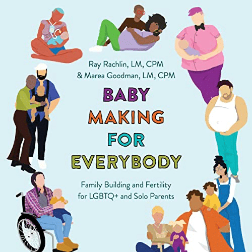 A book cover for Baby Making for Everybody