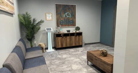 Ellie Mental Health Dallas, Carrollton TX Lobby