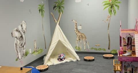 Ellie Mental Health Dallas, Carrollton TX Play Therapy Room