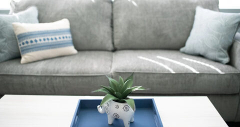 Ellie Mental Health Stilwell, KS Clinic Office 2