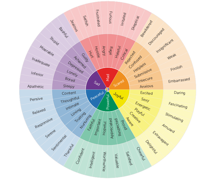 A graphic image of a "Feeling Wheel" which is used to identify feelings