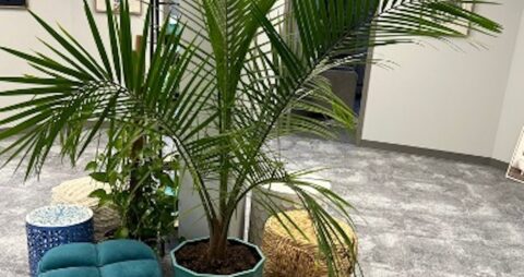 Ellie Mental Health Jersey Shore, NJ Lobby