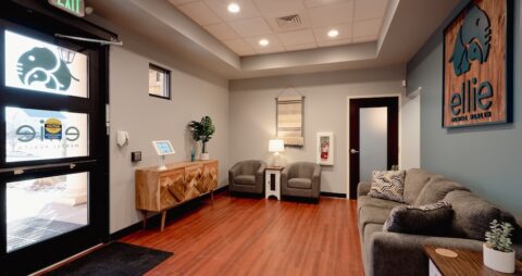 Ellie Mental Health Colorado Springs Tutt, CO Clinic Lobby 2