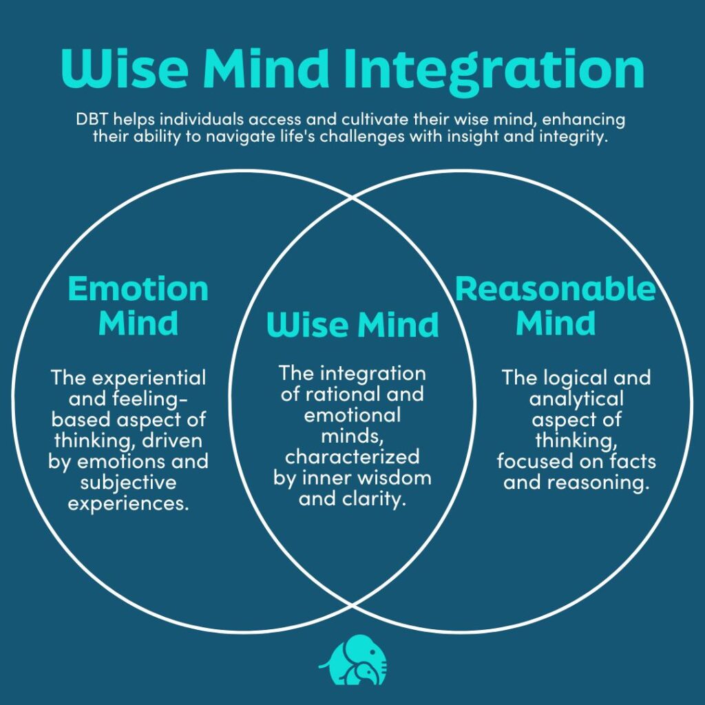 An infographic for Wise Mind Integration