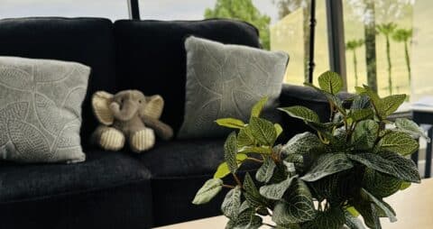 Ellie Mental Health Sherman Oaks, CA Clinic Office 4